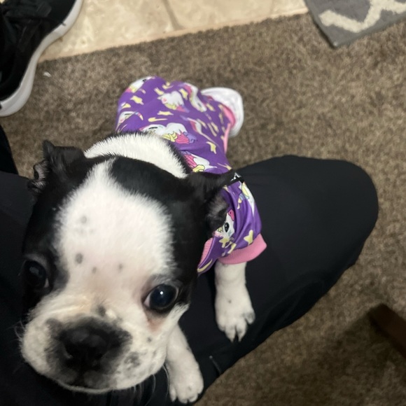 Meet your Posher, Sharlene Campbell. 💕❤️💎🎉😊🎁❄️🥰 - Picture 11 of 12